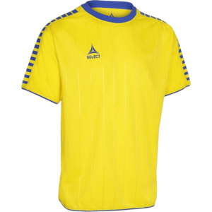 Select Argentina jersey shorts sleeve kép