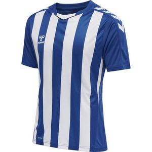 CORE XK STRIPED JERSEY S/S kép