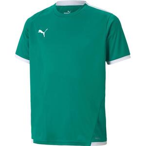 teamLIGA Jersey Jr kép
