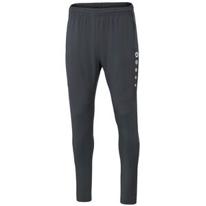 TRAININGPANTS PREMIUM W kép