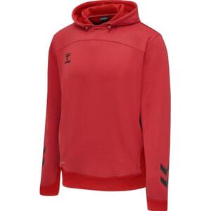 LEAD POLY HOODIE KIDS kép