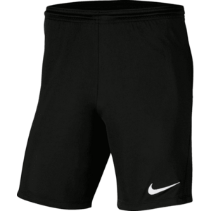 Dri-FIT Park III kép