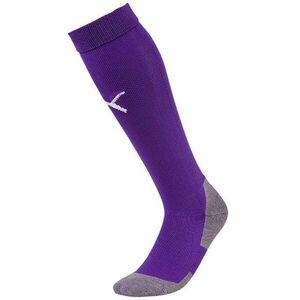 TEAM LIGA SOCKS CORE kép