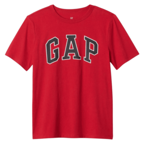 GAP Basic Logo kép