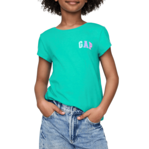 GAP Logo kép
