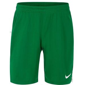 MENS TEAM SPIKE SHORT kép