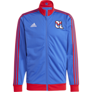 Olympique Lyon DNA kép