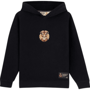 GSSTORE X Reflect Studio Lion Kids kép