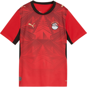Egypt Home Replica 2026 Kids kép