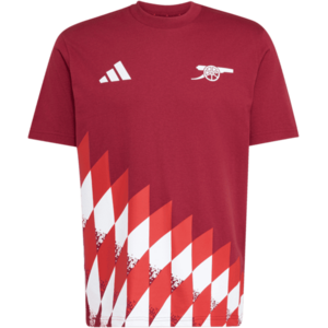 Arsenal Stadium Graphic kép