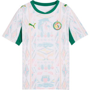 Senegal Home Replica 2026 Kids kép