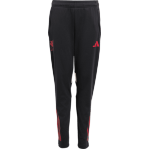 Liverpool FC Competition Training Pants 2025/26 Kids kép