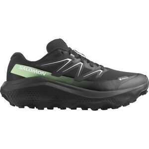 Salomon ULTRA FLOW 2 GTX Férfi trail futócipő, fekete, méret 43 1/3 kép