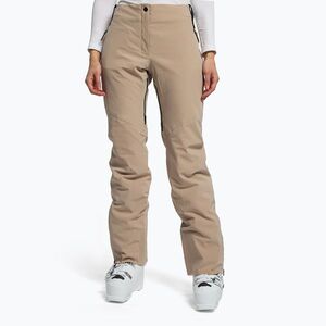 Női síelőnadrág Dainese Hp Verglas earth (Hp Verglas Wmn 204769410) kép