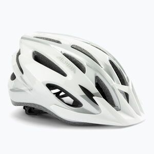 Kerékpáros sisak Alpina MTB 17 white/silver (MTB 17 A9719110) kép