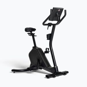 Schwinn 590U álló kerékpár (590U 100952) kép