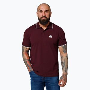 Pitbull West Coast Polo Pique Stripes Regular burgundy férfi galléros póló (Polo Pique Stripes Regular 243003470002) kép