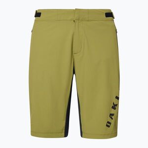 Férfi Oakley Free Ride páfrányfenyő kerékpáros rövidnadrág (Free Ride FOA406094) kép