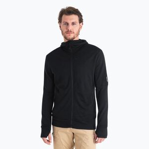 Férfi Icebreaker Merino 260 Quantum IV Zip kapucnis pulóver fekete (Merino 260 Quantum IV Zip Hoodie IBBA56W20011) kép