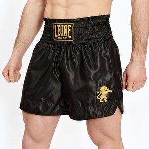Férfi boxer rövidnadrág LEONE 1947 Basic 2 black (Basic 2 AB970) kép