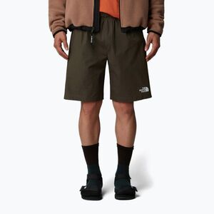 Férfi rövidnadrág The North Face Limestone new taupe green (Limestone NF0A8BTC21L1) kép