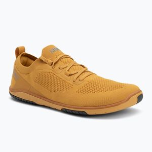 Női mezítlábas cipő Xero Shoes Nexus Knit arany (Nexus Knit NEXW-GOLD) kép
