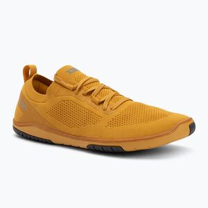 Férfi mezítlábas cipő Xero Shoes Nexus Knit arany (Nexus Knit NEXM-GOLD) kép
