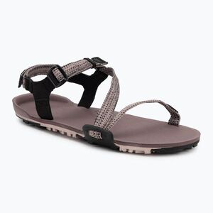 Női mezítlábas szandál Xero Shoes Z-Trail EV poros / rózsaszínű (Z-Trail EV TTW-DSR) kép