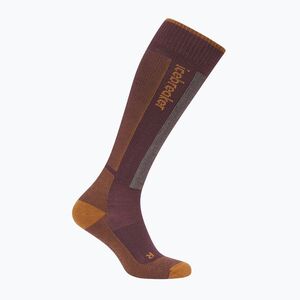 Férfi sízokni Icebreaker Merino Ski+ java/trail/seaglass (Merino Ski+ IB0A573N0I31) kép