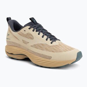 Férfi futócipő Mizuno Wave Rider TT 3 Curds & Whey/Summer Sand/North Atlantic (Wave Rider TT 3 J1GC253252) kép