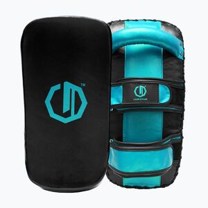 Edzői Octagon Thai Pad PAO Legion Matrix 2 db black/sea green (Thai Pad PAO Legion Matrix 11399-TTT) kép