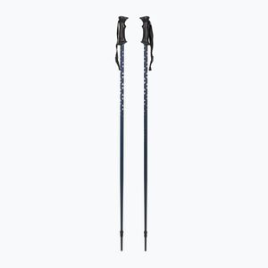 Női síbotok KADVA Aspen rózsaszín (Aspen KDV-B5B013-PK) kép