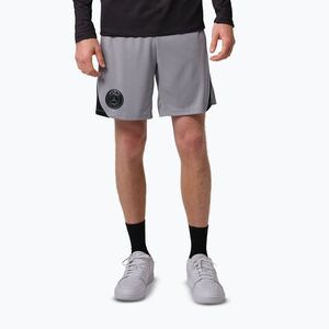 Férfi labdarúgó rövidnadrág Nike Paris Saint-Germain Strike SE atmosphere grey/black/black (Paris Saint-Germain Strike SE IB3647-080) kép