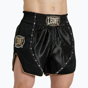 Férfi boksznadrág Leone 1947 Classic black (Classic AB881) kép