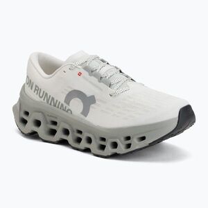 Női futócipők On Cloudmonster 3 ivory/tin (Cloudmonster 3 3WG10034469) kép