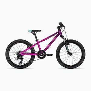 Gyermek kerékpár Kellys Kiter 50 20" pink (Kiter 50 20" 83875) kép