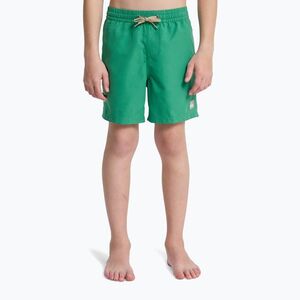 Gyerek fürdőnadrágok Quiksilver Everyday Volley 14" leprechaun (Everyday Volley 14" EQBJV03543-GNZ0) kép