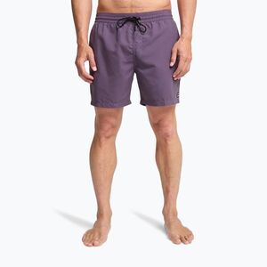 Férfi fürdőshortok Billabong All Day Layback dusty grape (All Day Layback EBYJV00134-PPD0) kép