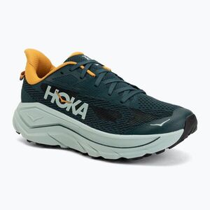 Férfi futócipők HOKA Challenger 8 bay leaf/sage (Challenger 8 1168716-BFSG) kép