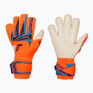 Kapus kesztyűk Reusch Attrakt Gold X Evolution shocking orange/blue (Attrakt Gold X Evolution 5670064-2290) kép