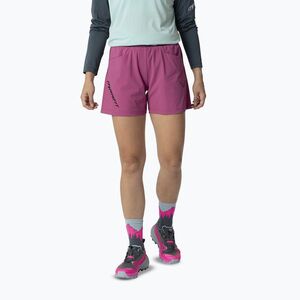 Női túrashort DYNAFIT Traverse Hybrid magenta/6A70 (Traverse Hybrid 08-0000072061) kép