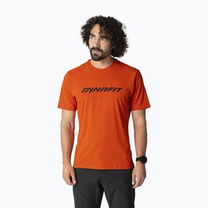 Férfi túrapóló DYNAFIT Traverse alabama (Traverse 08-0000072054) kép