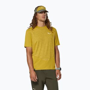 Salewa Pedroc Tech Dry férfi póló olive oil (Pedroc Tech Dry 00-0000029290) kép