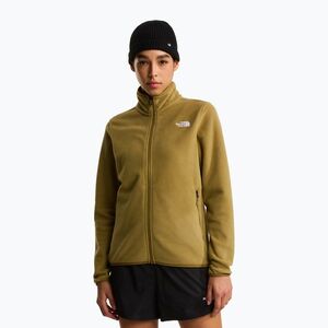Női pulóver The North Face Glacier Fleece (Glacier Fleece NF0A8D2F) kép