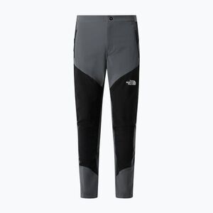 Férfi túranadrág The North Face Felik Slim Tapered smoked pearl/tnf (Felik Slim Tapered NF0A8AQ1RPI1) kép