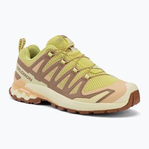 Női futócipő Salomon XA Pro 3D V9 endive/burro/almond cream (XA Pro 3D V9 L49159800) kép