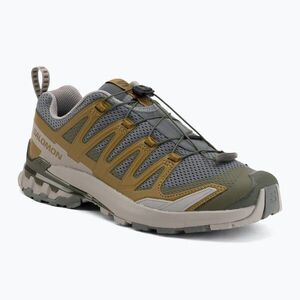 Férfi futócipő Salomon XA Pro 3D V9 sedona sage/plantation/paloma (XA Pro 3D V9 L49229900) kép
