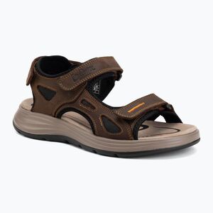 Férfi szandálok Lee Cooper LCW-26-01-4024MA brown (LCW-26-01-4024MA) kép