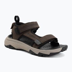Férfi szandálok Columbia Peakfreak Rush cordovan pebble (Peakfreak Rush 2121251231) kép