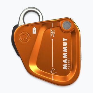 Biztosítóeszköz Mammut Assist Belay Resistor gold (Assist Belay Resistor 2040-03050-7041-1) kép